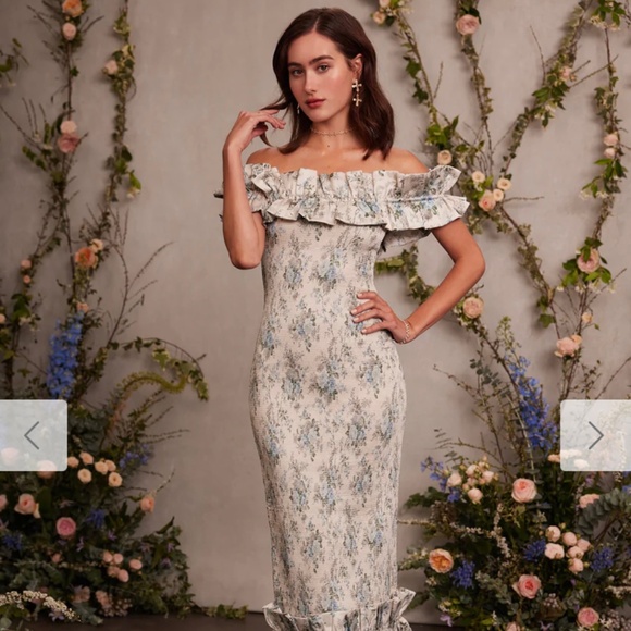 V. Chapman Dresses & Skirts - V. Chapman the Lilac Dress in Blue Bouquet